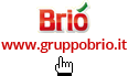 visita il sito Briò