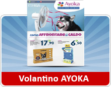 vai e consulta il Volantino Ayoka